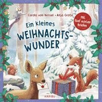 Ein kleines Weihnachtswunder - Mit fünf echten Briefen 1