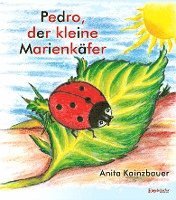 bokomslag Pedro der kleine Marienkäfer