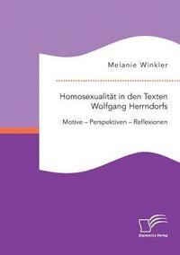 bokomslag Homosexualitt in den Texten Wolfgang Herrndorfs. Motive - Perspektiven - Reflexionen