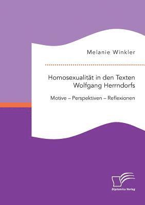 bokomslag Homosexualitt in den Texten Wolfgang Herrndorfs. Motive - Perspektiven - Reflexionen