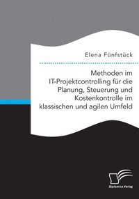 bokomslag Methoden im IT-Projektcontrolling fr die Planung, Steuerung und Kostenkontrolle im klassischen und agilen Umfeld
