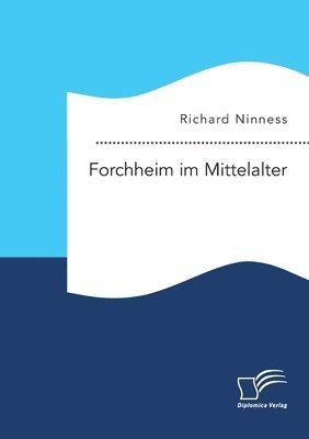 bokomslag Forchheim im Mittelalter