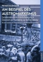 bokomslag Am Beispiel des Austromarxismus