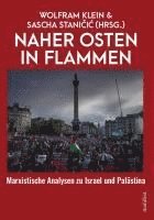 bokomslag Naher Osten in Flammen