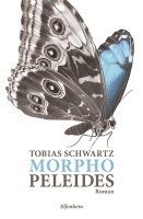 bokomslag Morpho peleides