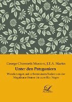 bokomslag Unter den Patagoniern
