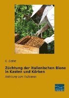 bokomslag Züchtung der italienischen Biene in Kasten und Körben