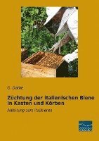 Züchtung der italienischen Biene in Kasten und Körben 1