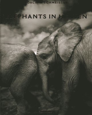 Joachim Schmeisser - Elephants in Heaven, Inbunden. Tillgänglighet: Lägg i varukorg