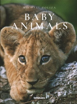 Michael Poliza - Baby Animals, Inbunden