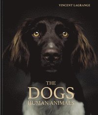 bokomslag The Dogs