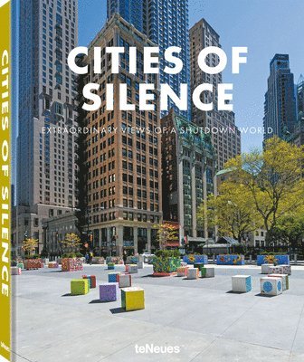 bokomslag Cities of Silence