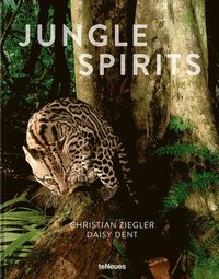 bokomslag Jungle Spirits