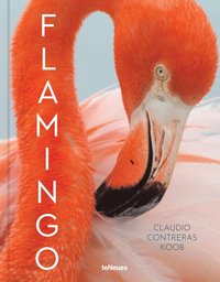 bokomslag Flamingo