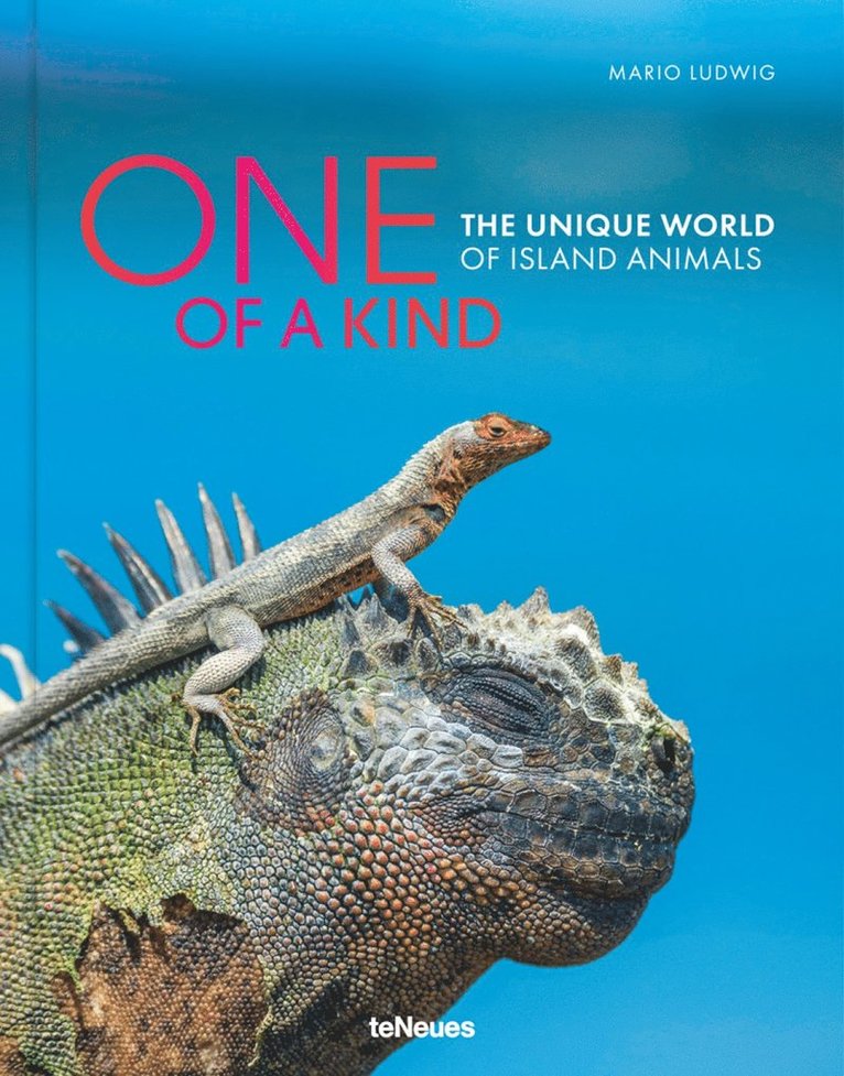 Mario Ludwig - One of a Kind, Inbunden