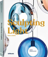 bokomslag Sculpting Light