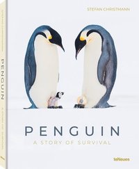 bokomslag Penguin: A Story of Survival