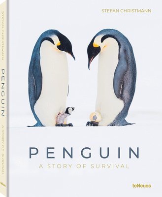 Penguin: A Story of Survival 1