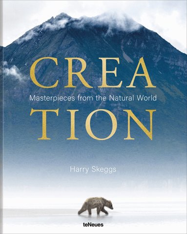 Harry Skeggs - Creation, Inbunden