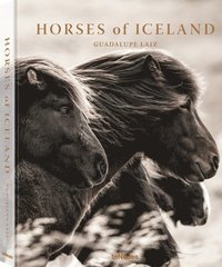 bokomslag Horses of Iceland