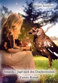 bokomslag Amanda - Jagd nach den Drachensteinen: Fantasy-Roman