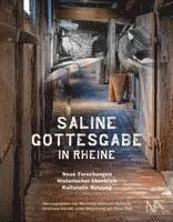 bokomslag Saline Gottesgabe in Rheine