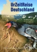 Wilfried Rosendahl, Robert Darga, Volker Wrede - UrZeitReise Deutschland, Häftad