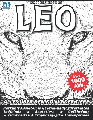 bokomslag Leo