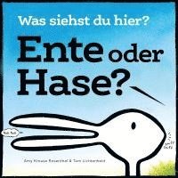 bokomslag Ente oder Hase? Was siehst du hier?