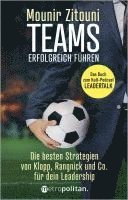 bokomslag Teams erfolgreich führen