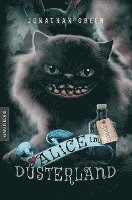 bokomslag Alice im Düsterland - Ein Fantasy-Spielbuch
