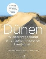 bokomslag Dünen. Die Wiederentdeckung einer geheimnisvollen Landschaft