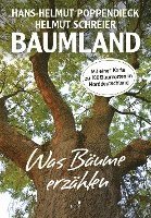 bokomslag Baumland - Was Bäume erzählen. Auf Entdeckungsreise in Norddeutschland