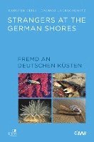 bokomslag Strangers at the German Shores. Fremd an deutschen Küsten