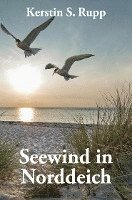 Seewind in Norddeich 1