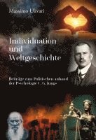 bokomslag Individuation und Weltgeschichte