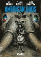 bokomslag American Gods. Band 4