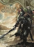 bokomslag Orks & Goblins. Band 1