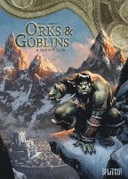bokomslag Orks & Goblins. Band 8