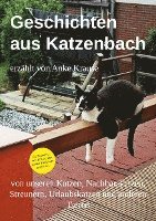 bokomslag Geschichten aus Katzenbach