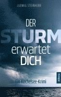 Ludwig Steinherr - Der Sturm erwartet dich, Häftad