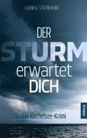 bokomslag Der Sturm erwartet dich