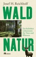 bokomslag Waldnatur