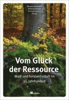 bokomslag Vom Glück der Ressource