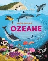 bokomslag Unter der Lupe: Ozeane