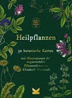 Heilpflanzen 1