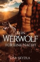 bokomslag Kein Werwolf für eine Nacht