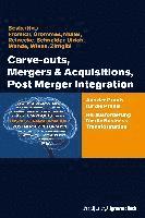 Carve-outs, Mergers & Acquisitions, Post Merger Integration