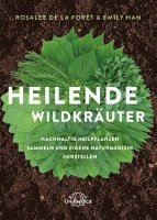 Heilende Wildkräuter 1