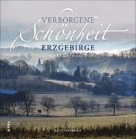 bokomslag Verborgene Schönheit Erzgebirge